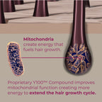 Mitochondria create energy that fuels hair growth.