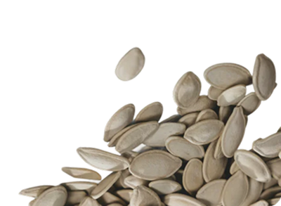 Pumpkin Seed Extract
